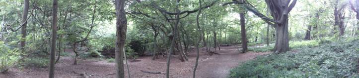 Am I lost or am I even following some defined process in the first place?